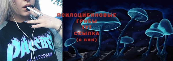 дживик Михайловск
