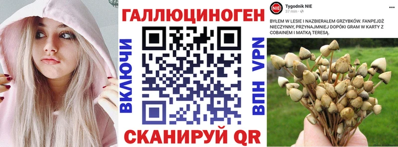 Купить  Заринск  Псилоцибиновые грибы GOLDEN TEACHER 